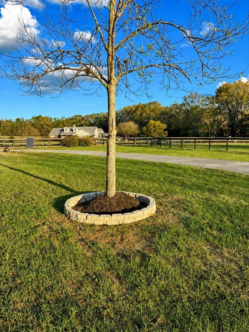 5440 NE 31st Terrace, Ocala, FL 34479 Photo
