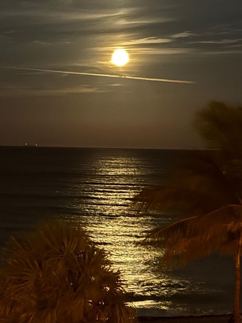 1815 N Surf Road, Unit 402, Hollywood, FL 33019 Photo