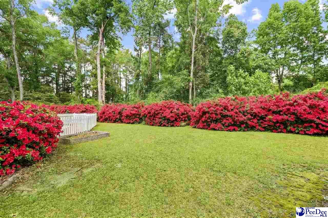 808 Wedgefield Road Photo 40