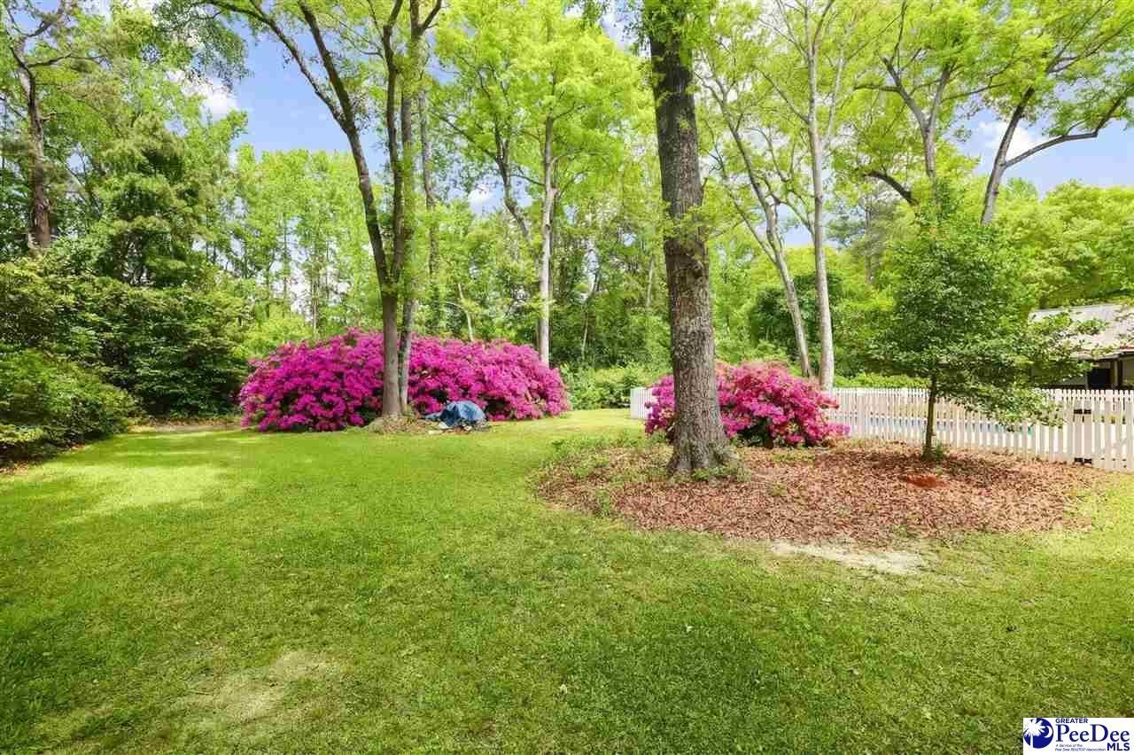 808 Wedgefield Road Photo 41