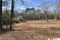 Lot 10 Ashland Rd photo 4