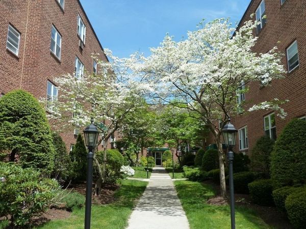 65 Colborne Rd, Unit 3, Boston, MA 02135