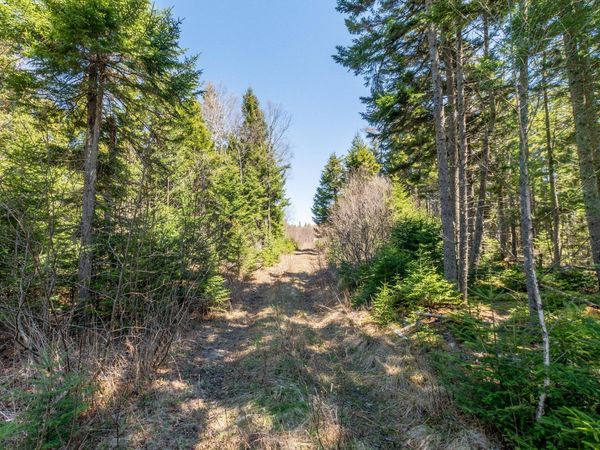 840 Cutler Rd. Road , Machiasport, ME 04655