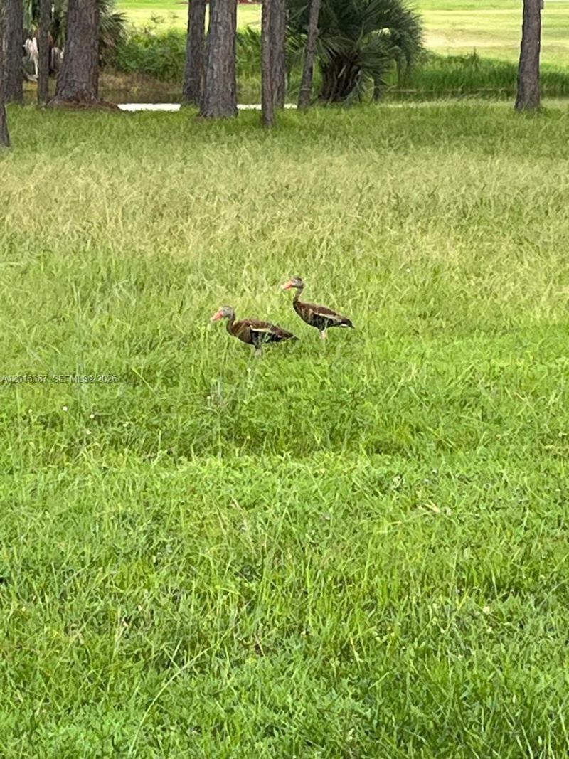 0 Valencia, Lake Wales, FL 33855 Photo