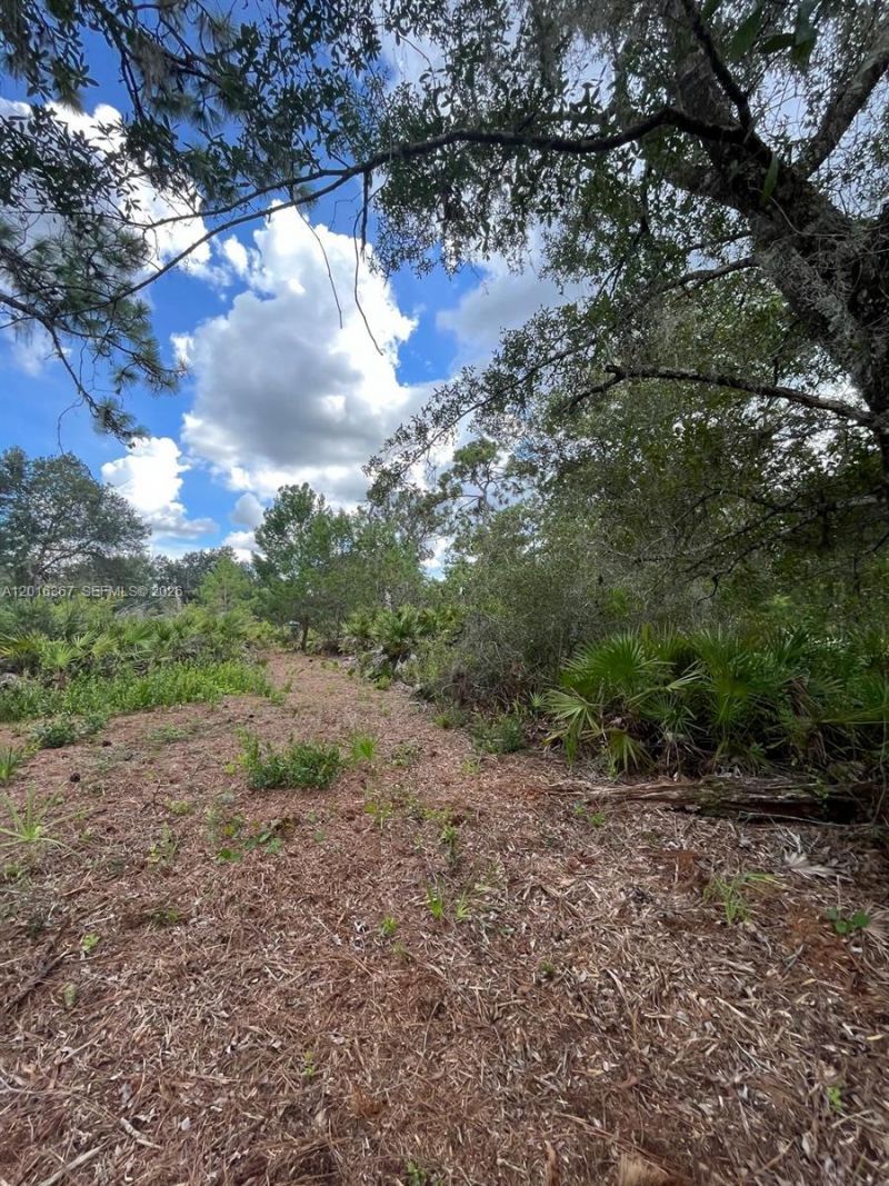 0 Valencia, Lake Wales, FL 33855 Photo