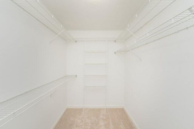 488 Wickham Drive Photo 46