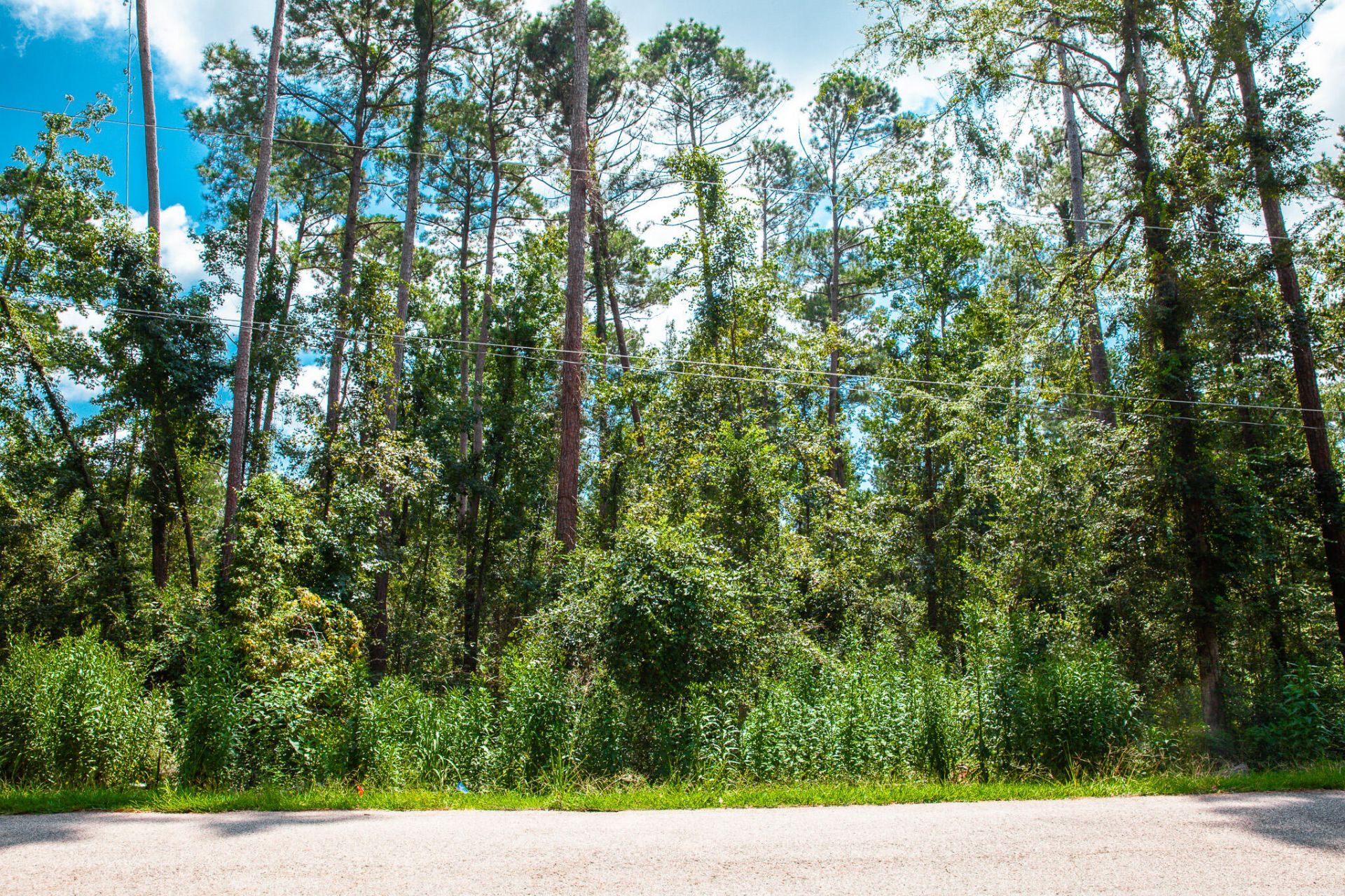 Lot 7 Furey Drive, Clarks Hill, SC 29821 Main Photo