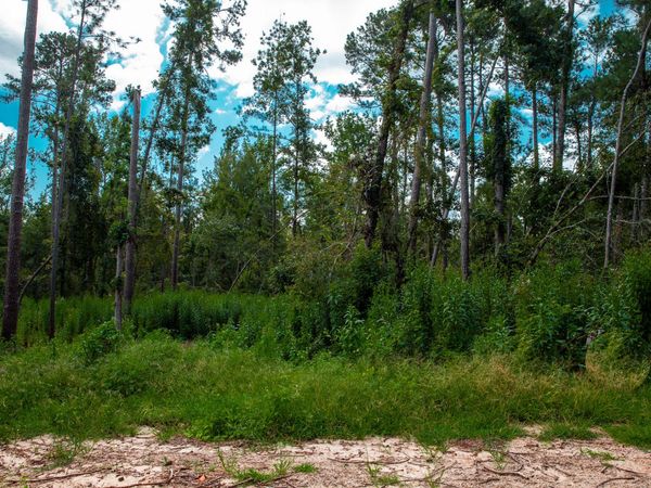 Lot 2 Furey Drive, Clarks Hill, SC 29821