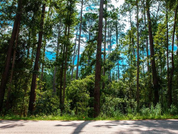 Lot 4 Furey Drive, Clarks Hill, SC 29821