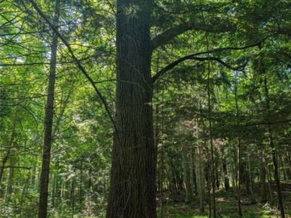 00 US Highway 63, Grand View, WI 54839