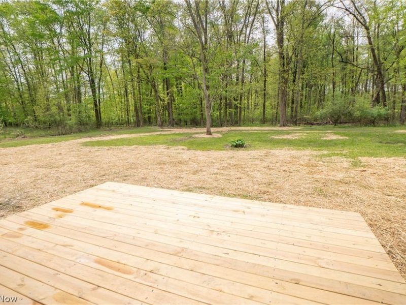 7148 Chatham Road, Medina, OH 44256 Photo 45