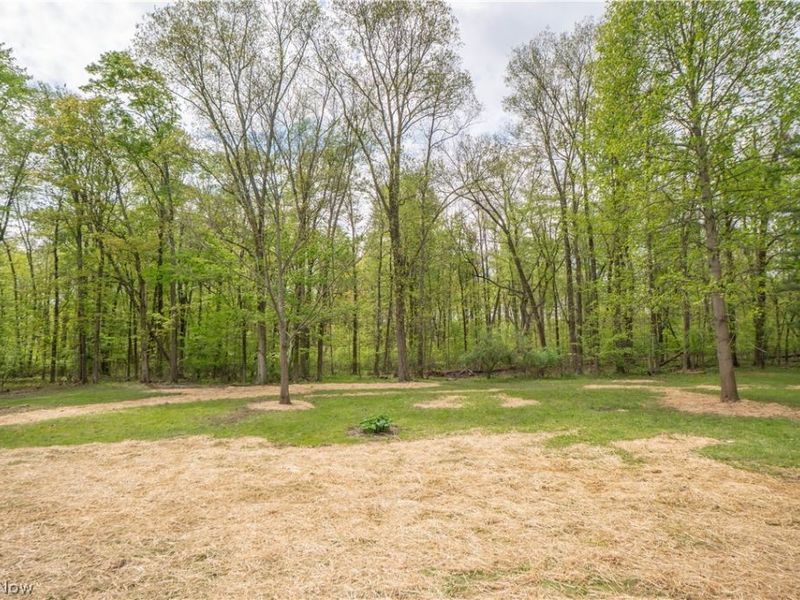 7148 Chatham Road, Medina, OH 44256 Photo 46