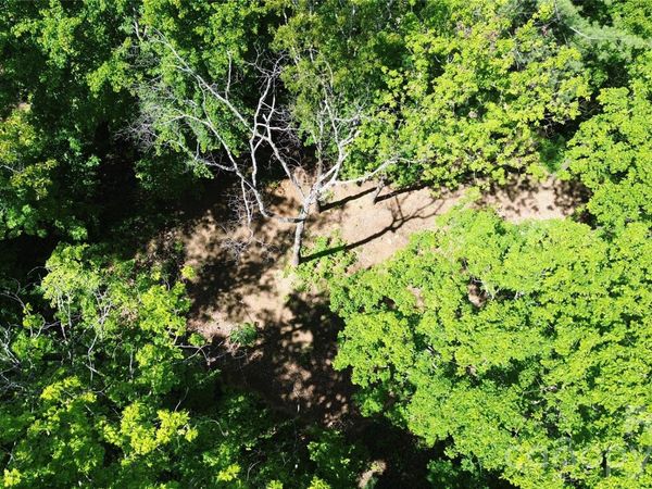 99999 Pink Fox Cove Road , Weaverville, NC 28787