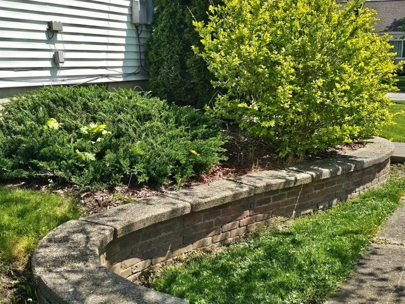201 Brinker Street, Bellevue, OH 44811 Photo 4