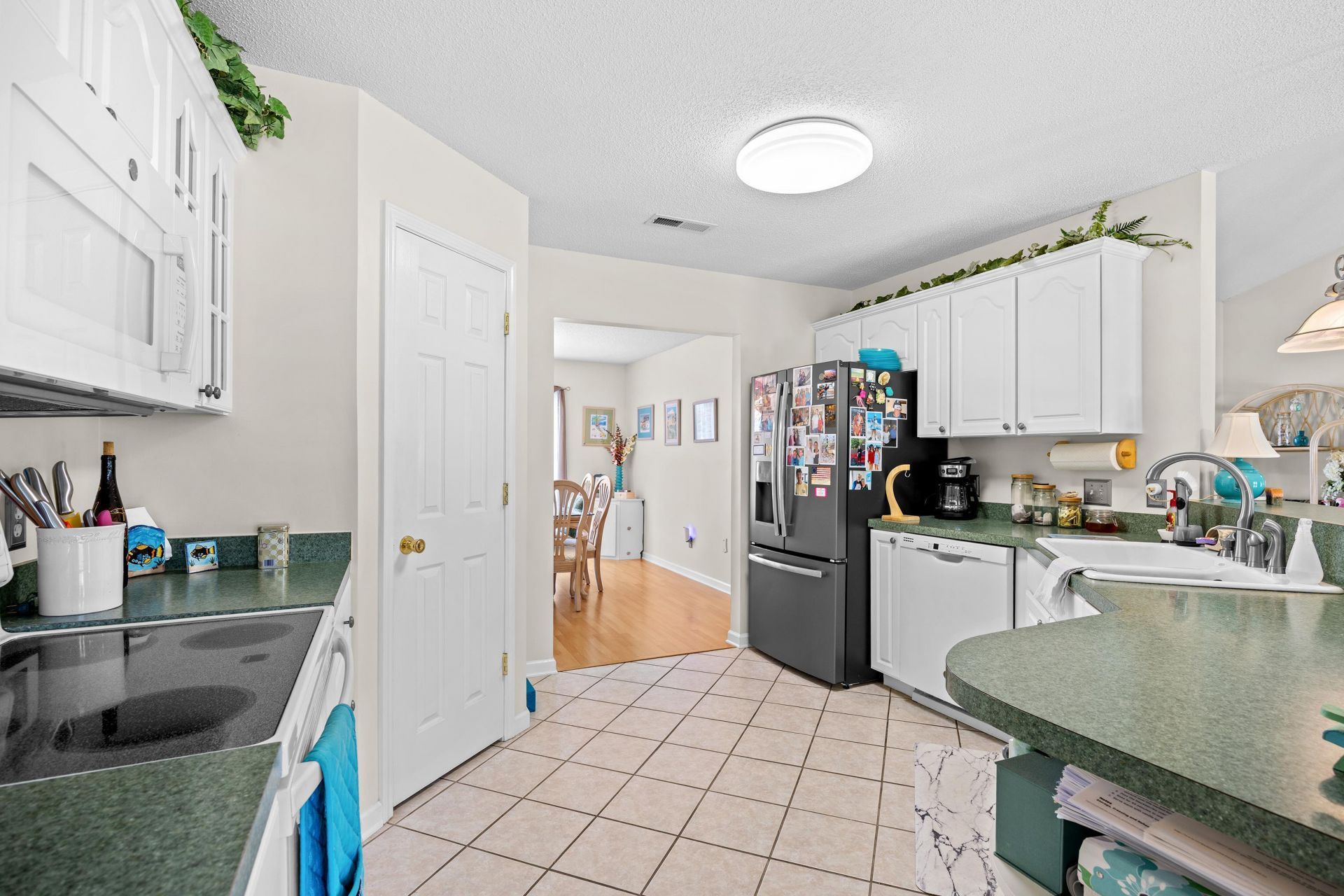 531 Blythewood Walk Photo 11