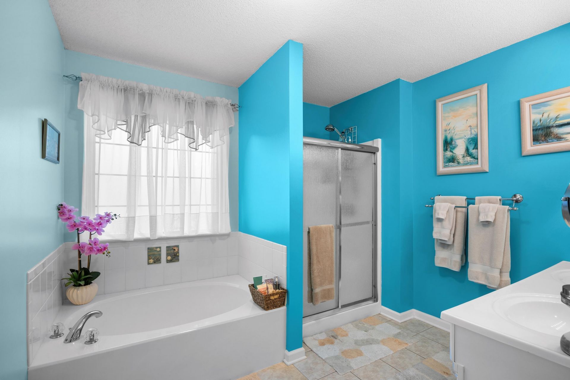 531 Blythewood Walk Photo 18