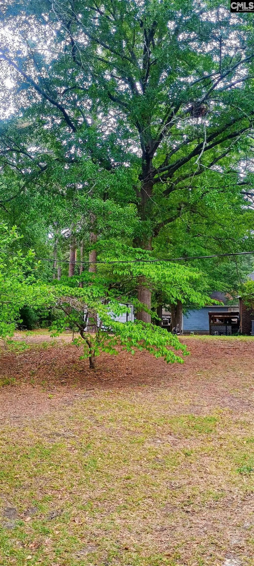 109 Oakley Drive  Photo 23