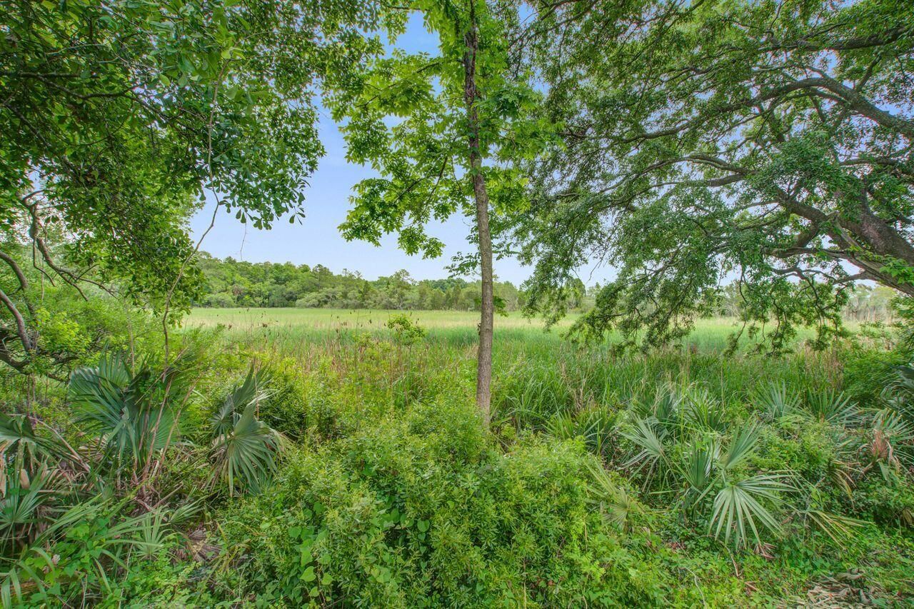 4939 Popperdam Creek Drive Photo 48