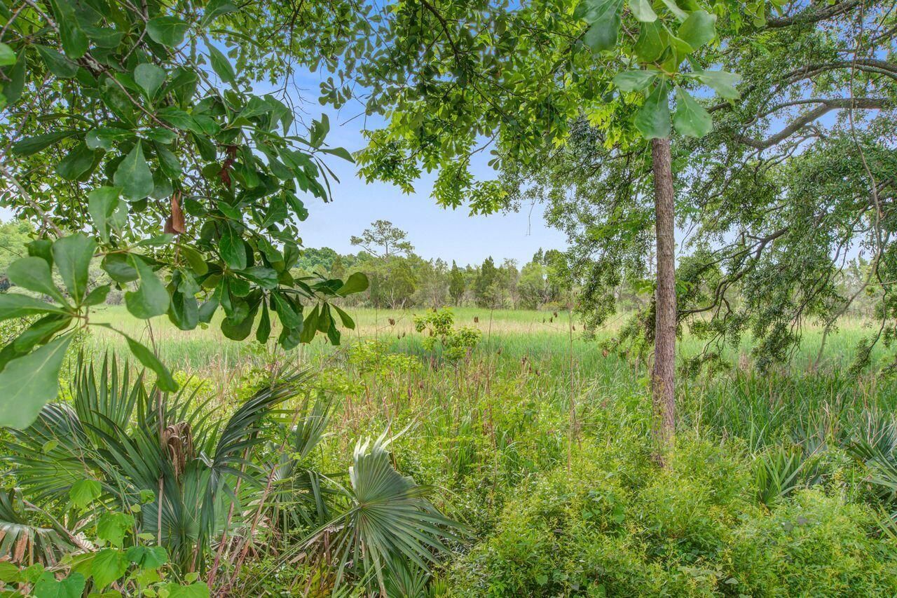 4939 Popperdam Creek Drive Photo 49