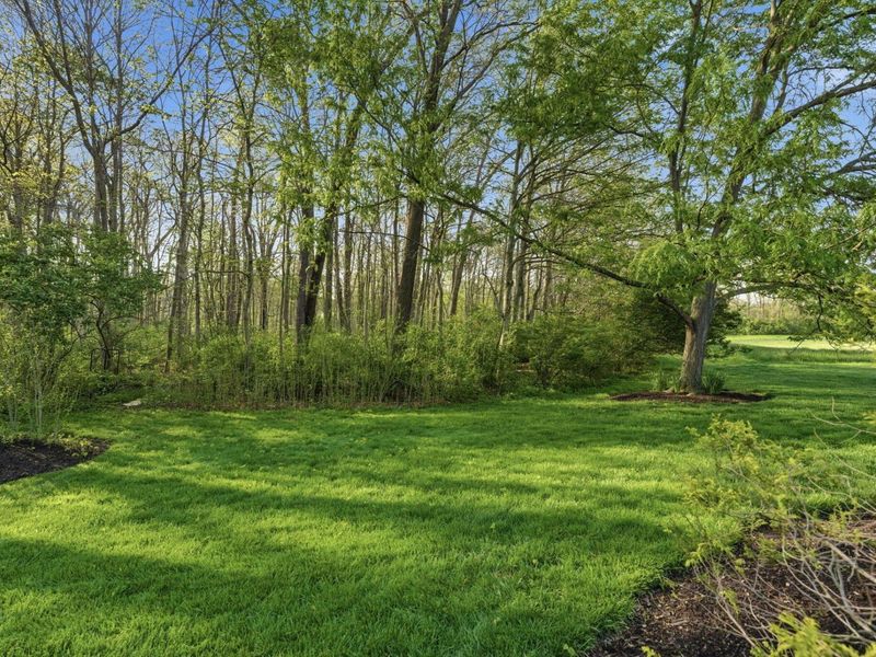 8009 Glenmore Drive, Powell, OH 43065 Photo 92