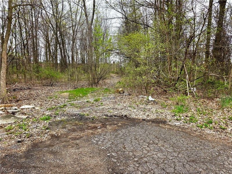 VL Ridgewood Street , Lorain, OH 44055 Photo 2