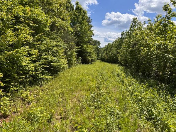 0 Dude Road , Savannah, TN 38372