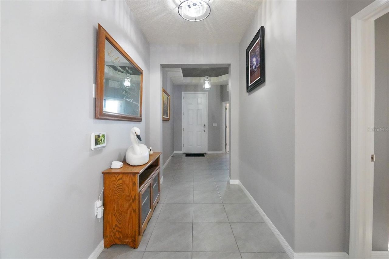3507 Autumn Amber Drive, Spring Hill, FL 34609 Photo