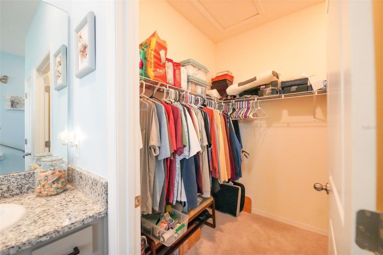 3507 Autumn Amber Drive, Spring Hill, FL 34609 Photo