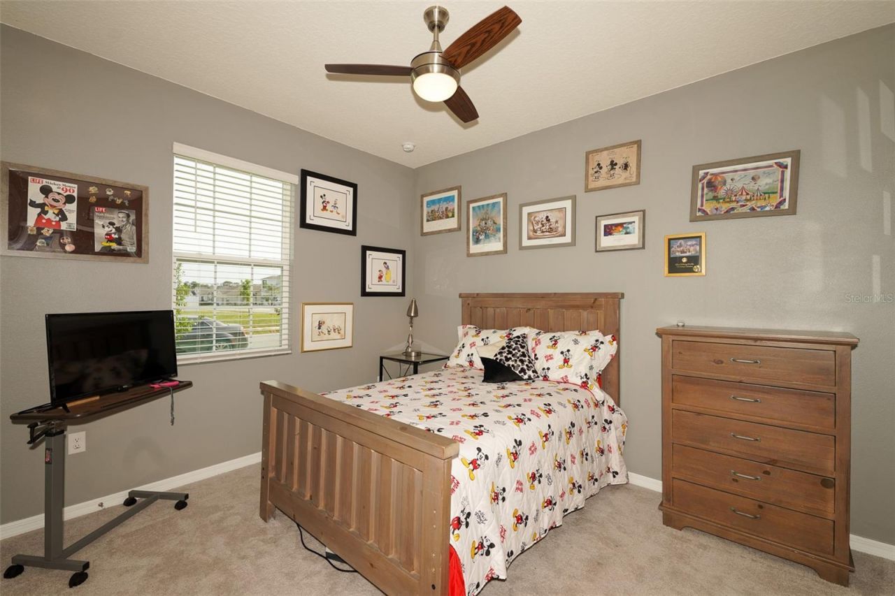 3507 Autumn Amber Drive, Spring Hill, FL 34609 Photo