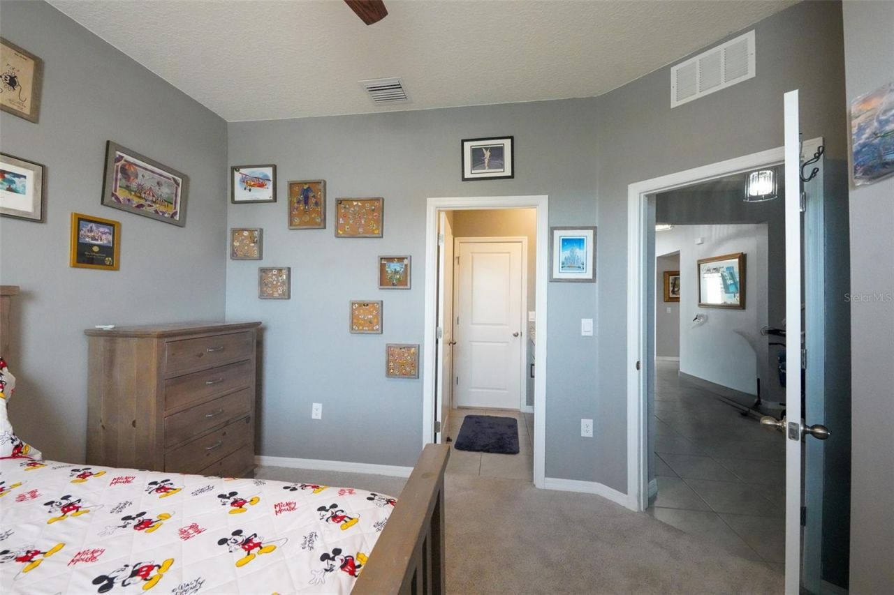 3507 Autumn Amber Drive, Spring Hill, FL 34609 Photo