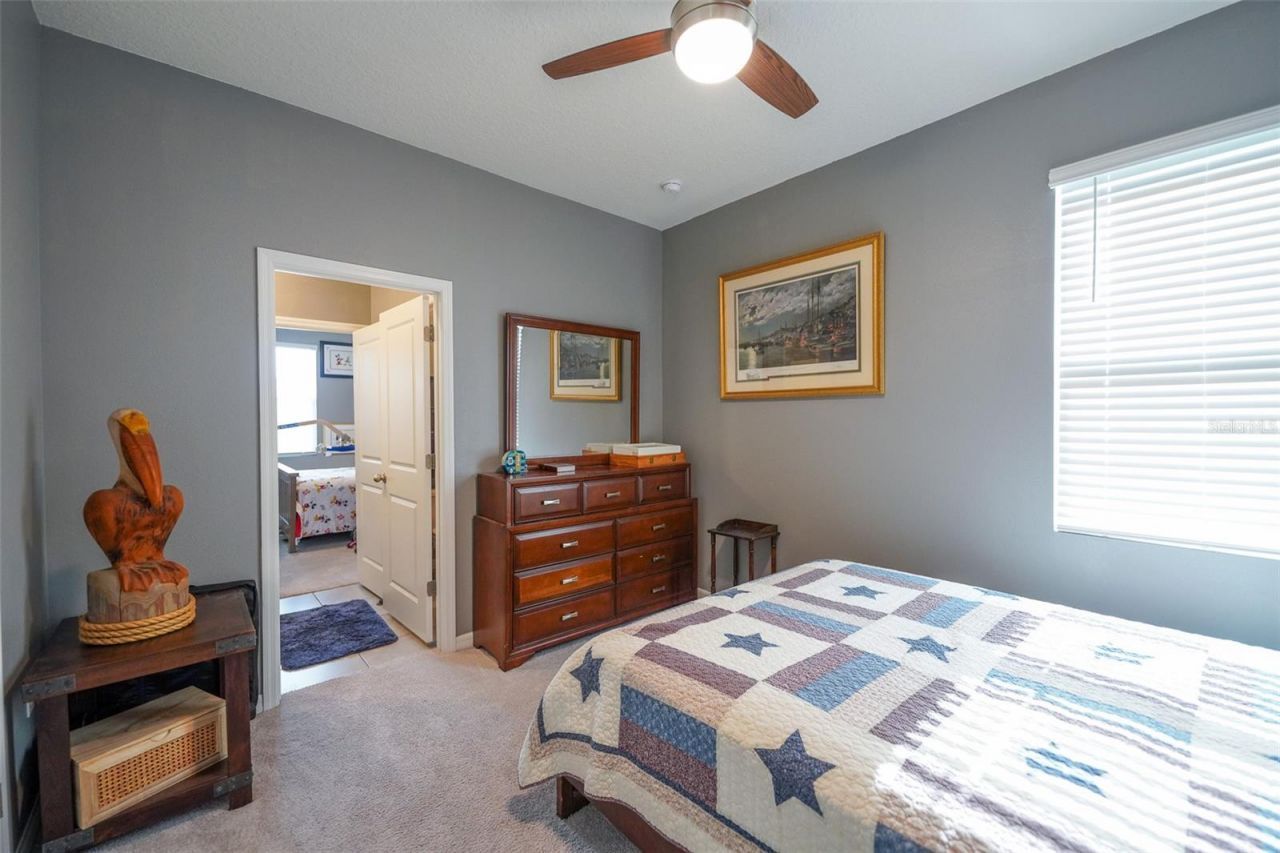 3507 Autumn Amber Drive, Spring Hill, FL 34609 Photo