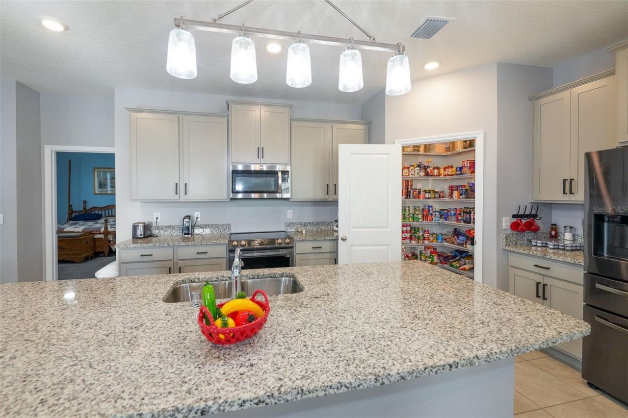 3507 Autumn Amber Drive, Spring Hill, FL 34609 Photo