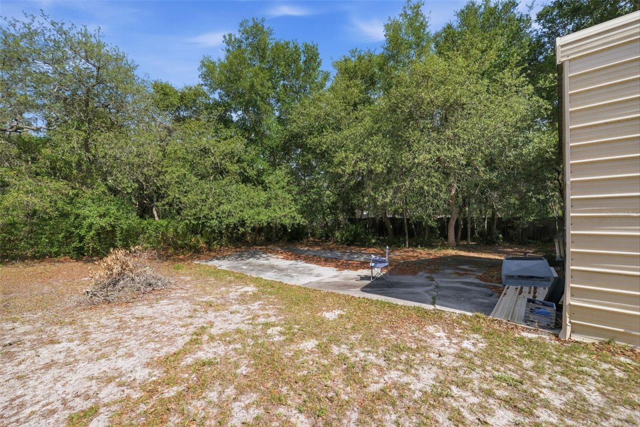 12515 Canton Avenue, Hudson, FL 34669 Photo