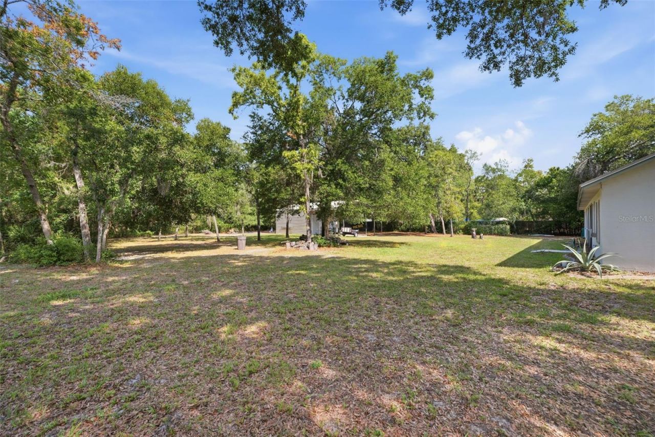 12515 Canton Avenue, Hudson, FL 34669 Photo