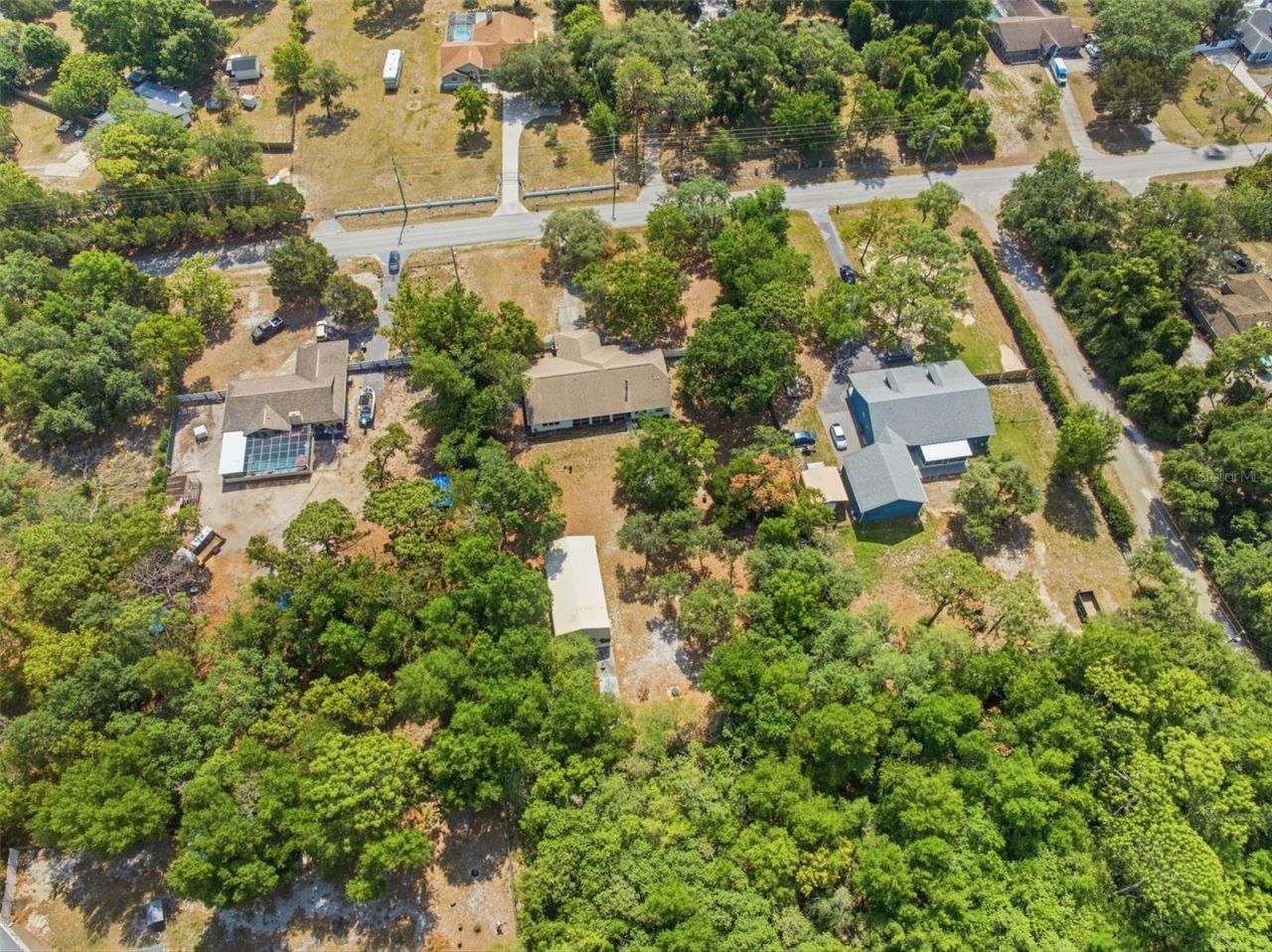 12515 Canton Avenue, Hudson, FL 34669 Photo