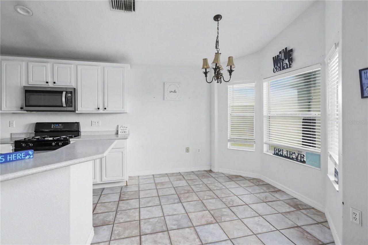 10424 Stonepark Drive Drive , Leesburg, FL 34788 Photo