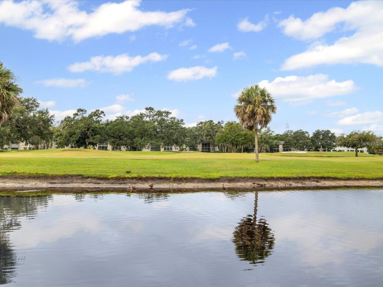225 Country Club Drive , Unit 1604, Largo, FL 33771 Photo