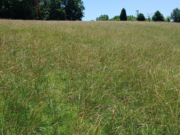 0 Lockertsville Road , Ashland City, TN 37015