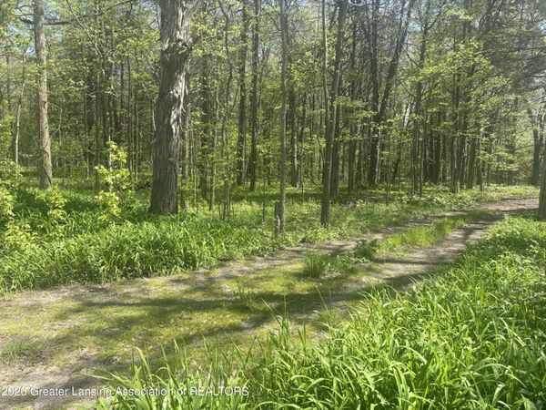 0 Chinook Lane, Lyons, MI 48851