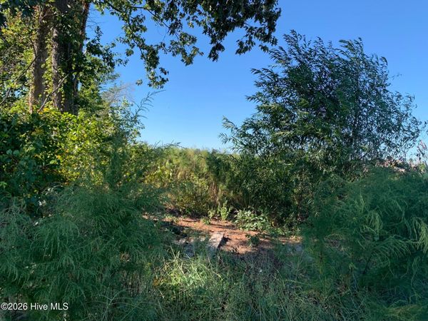 Tbd Hendrix Lane, Windsor, NC 27983