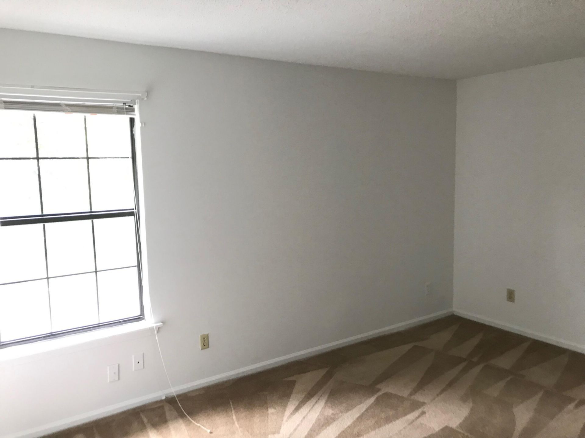 8012 Thelen Street Photo 7
