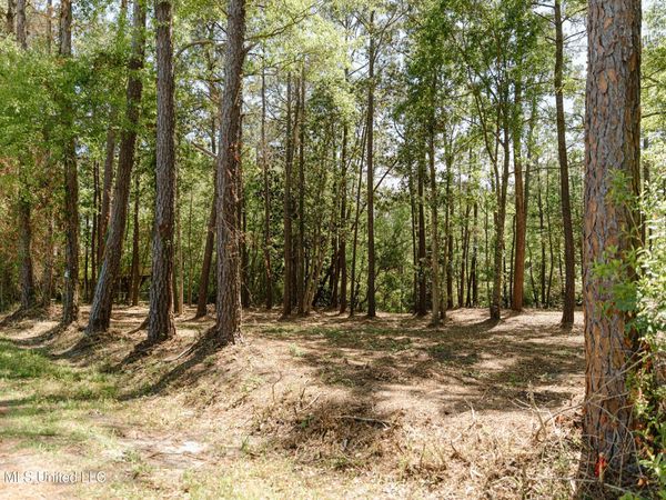 Honduras Drive , Gautier, MS 39553
