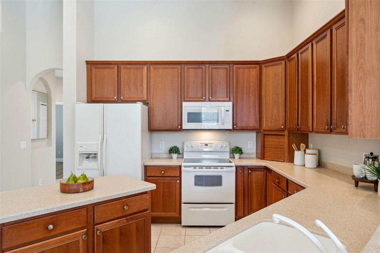 13335 Paloma Drive, Orlando, FL 32837 Photo