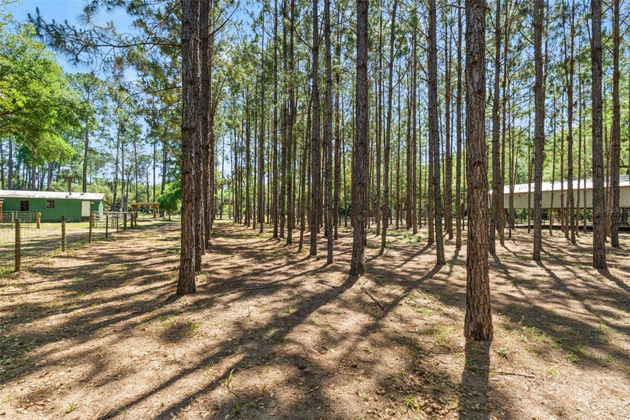 7845 N Flame Vine Way, Crystal River, FL 34428 Photo