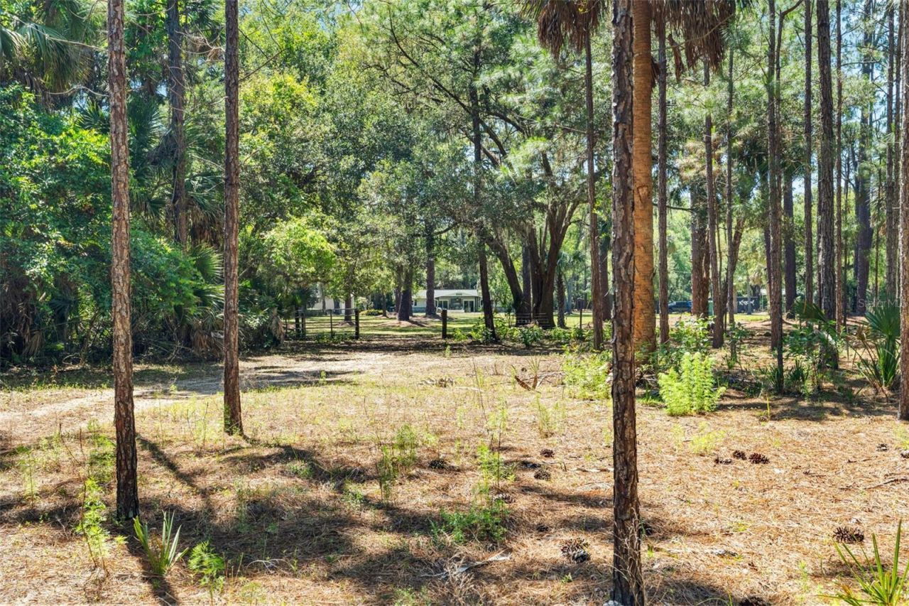 7845 N Flame Vine Way, Crystal River, FL 34428 Photo