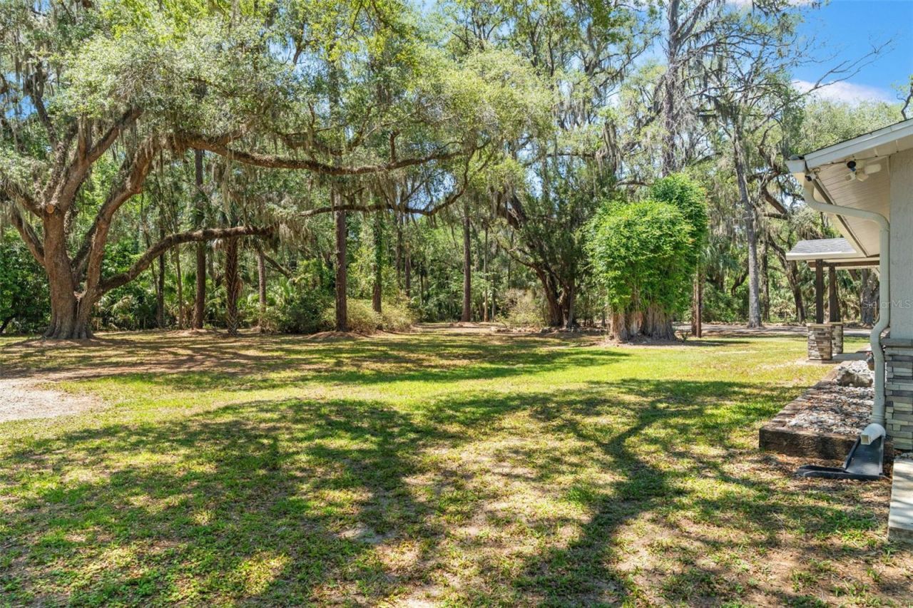 7845 N Flame Vine Way, Crystal River, FL 34428 Photo
