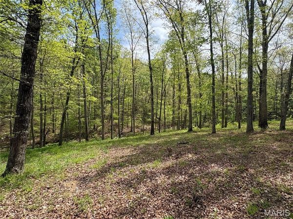 10405 County Road 700 , Centerville, MO 63633
