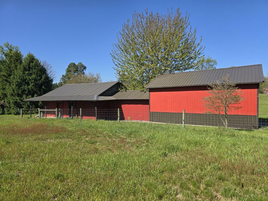 Property Image 18