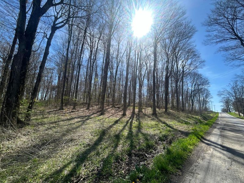0 County Road 14 , Mount Gilead, OH 43338 Photo 12