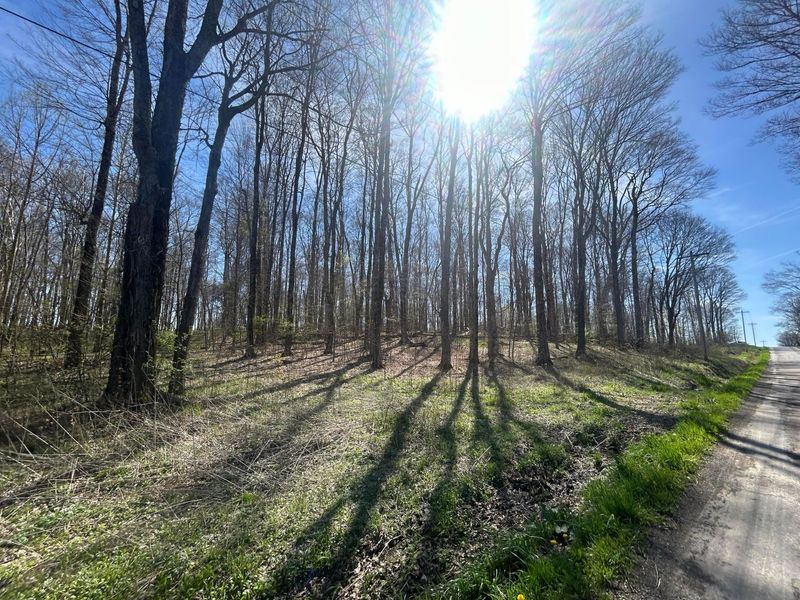 0 County Road 14 , Mount Gilead, OH 43338 Photo 13